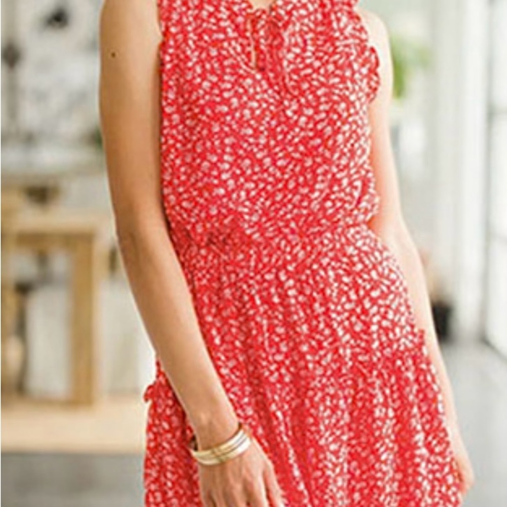 The Gap Floral Red and White Sleeveless Hi Low Dress
